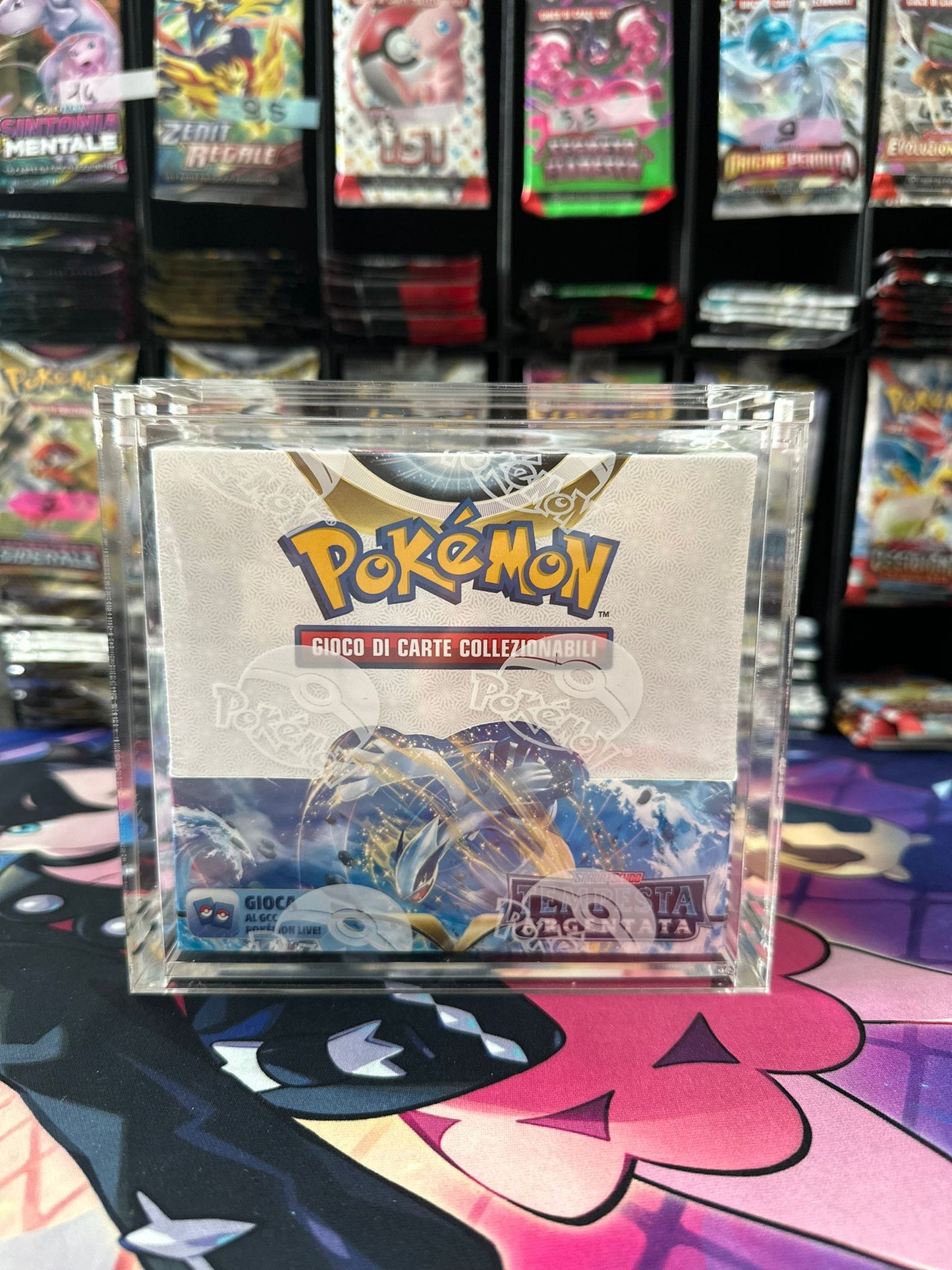 Cards Collection - Case in Plexiglass con chiusura magnetica per Box Pokemon